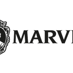 MARVIS