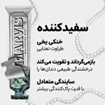 MARVIS
