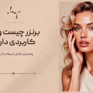 برنزر چیست و چه کاربردی دارد؟