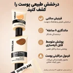 شیگلم